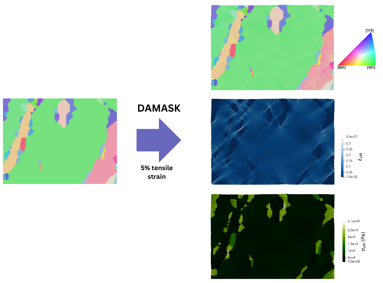 DAMASK workflow from an EBSD microstructure through five percent tensile strain to simulated microstructure, local strain fields and local stress fields.