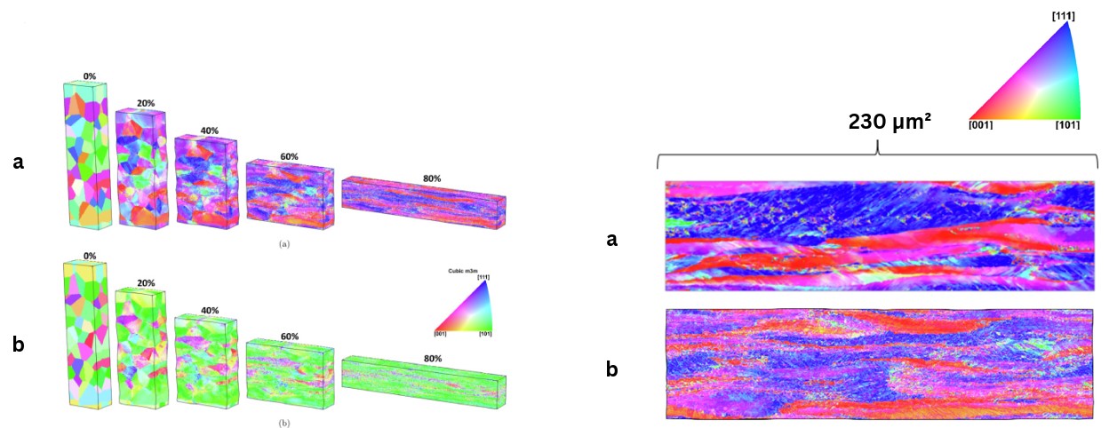Left: IPF color maps of a 38-grain polycrystal at 0, 20, 40, 60 and 80% thickness reduction, viewed parallel to the loading direction (a) and parallel to the stretching direction (b). Right: 230 micrometer-squared comparison after 75% thickness reduction between an EBSD image of IF-steel (a) and a simulated polycrystal (b).